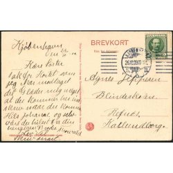 Kbenhavn - Parti fra Smedelinien- St.10806