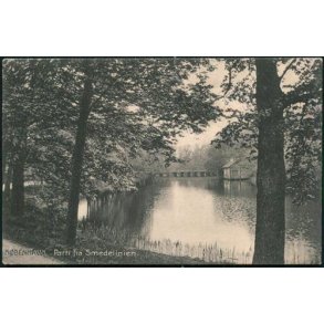 Kbenhavn - Parti fra Smedelinien- St.10806