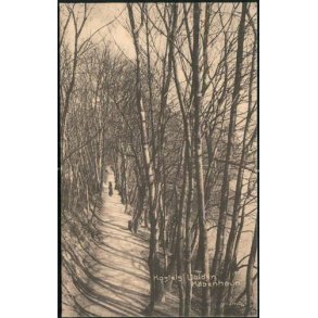 Kbenhavn - Kastels Volden - p. u/n