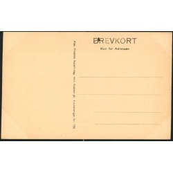 Kbenhavn - Langelinie - A.V. 729