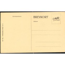 Kjbenhavn - Langelinie -A.C.Illum 110