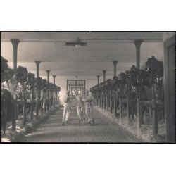 Fotokort Ukendt - Soldater. - Ubrugt