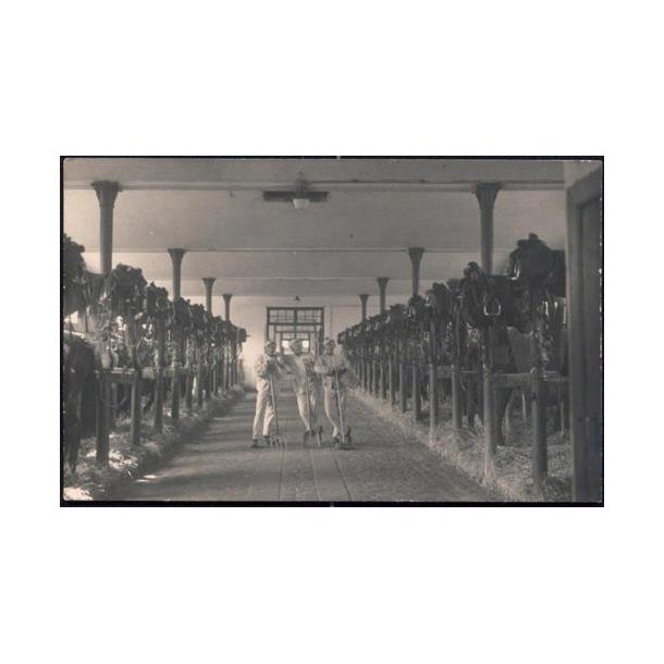 Fotokort Ukendt - Soldater. - Ubrugt