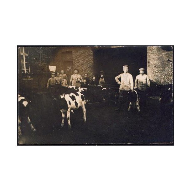 Fotokort Ukendt - Soldater. - Ubrugt