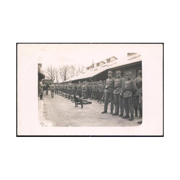 Fotokort Ukendt - Soldater. - Ubrugt