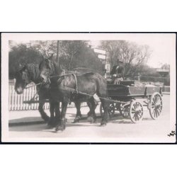 Fotokort Ukendt - Hestevogn- Ubrugt