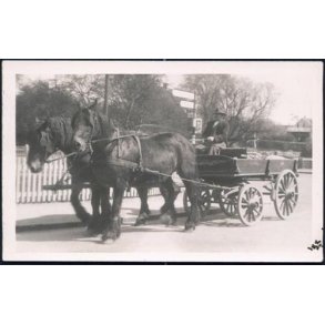 Fotokort Ukendt - Hestevogn- Ubrugt