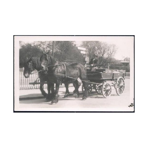 Fotokort Ukendt - Hestevogn- Ubrugt