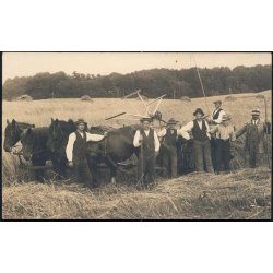 Fotokort Ukendt - H&oslash;st - Ubrugt