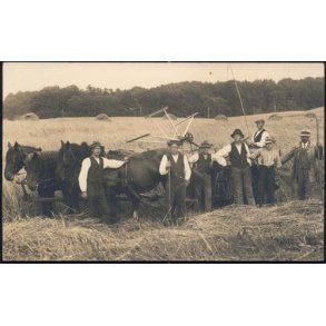 Fotokort Ukendt - H&oslash;st - Ubrugt