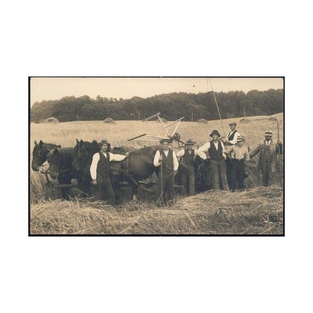 Fotokort Ukendt - H&oslash;st - Ubrugt