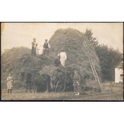 Fotokort Ukendt - H&oslash;st - Ubrugt