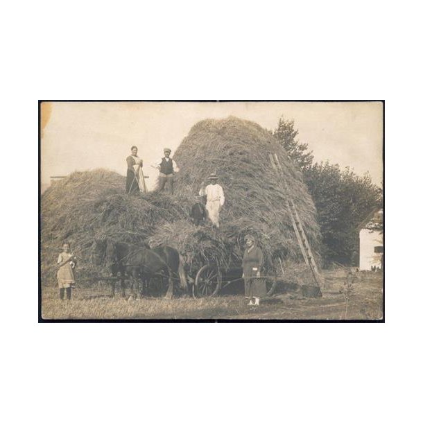 Fotokort Ukendt - H&oslash;st - Ubrugt