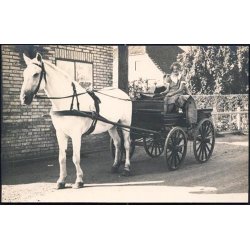 Fotokort Ukendt - Hestevogn - Ubrugt