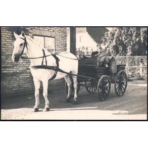 Fotokort Ukendt - Hestevogn - Ubrugt