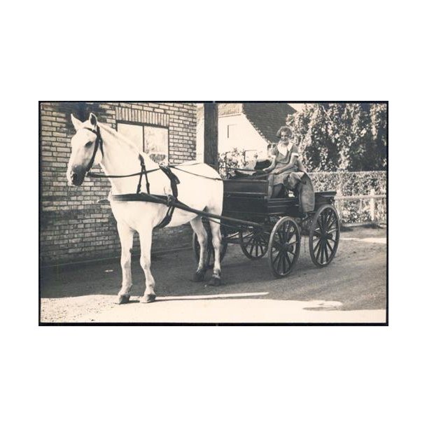 Fotokort Ukendt - Hestevogn - Ubrugt