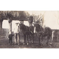 Fotokort Ukendt - Min S&oslash;n og Heste ? - Ubrugt