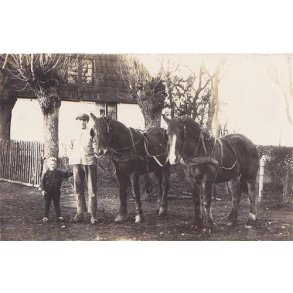 Fotokort Ukendt - Min S&oslash;n og Heste ? - Ubrugt