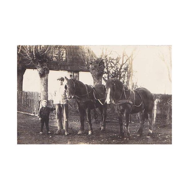 Fotokort Ukendt - Min S&oslash;n og Heste ? - Ubrugt