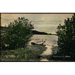 Bagsv&aelig;rd - I Aldershvile Skov - Stender 6860