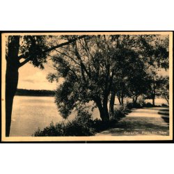 Gentofte - Parti fra S&oslash;en - Rudolf Olsen 874