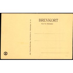 Parti fra Lyngby - Alex Vincent 414