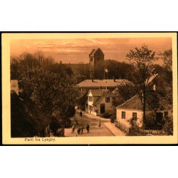 Parti fra Lyngby - Alex Vincent 414