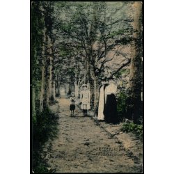 Frederiksdal - Prinssesestien - Peter Alstrup 7482