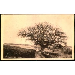 Prinssesestien - Collin u/n