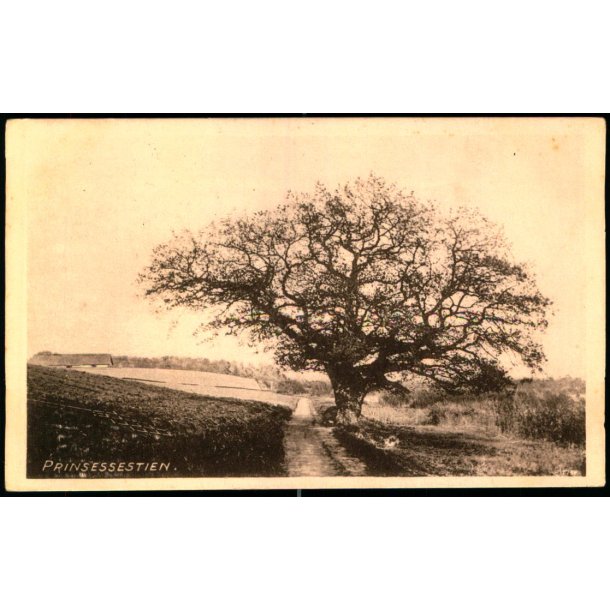 Prinssesestien - Collin u/n