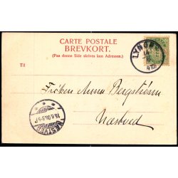 Storkereden paa Lyngby Kirke - H. Schous Bogh. u/n