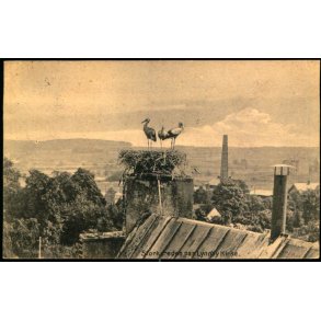 Storkereden paa Lyngby Kirke - Alex Vincent 316