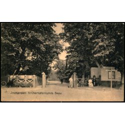 Indk�rsel til Charlottenlund Skov - Alex Vincent 91