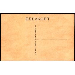 Charlottenlund - Strandparti (Fluepapir) - S.N.Phillipson 71