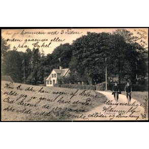 Ved Ordrup Krat - Stender 5987