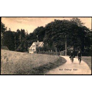 Ved Ordrup Krat - Stender 5987