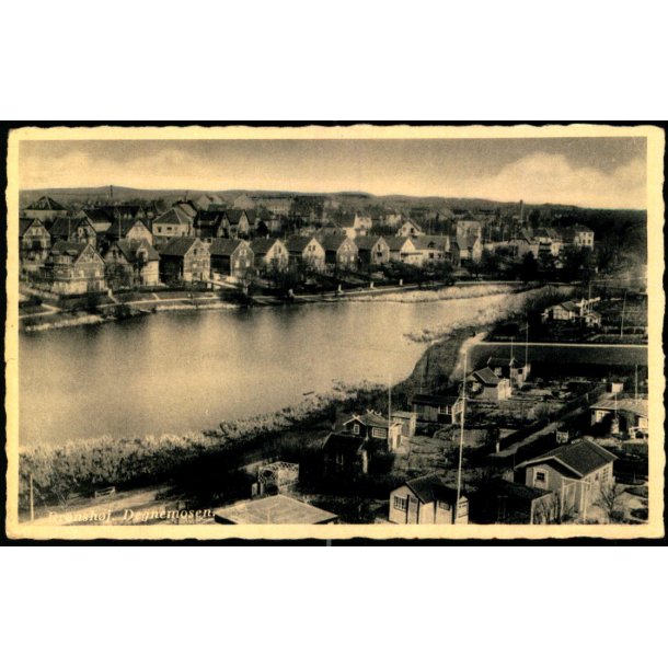 Br&oslash;nsh&oslash;j - Degnemosen - Rudolf Olsen 2935