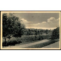 Br&oslash;nsh&oslash;j - Degnemosen - Chr. Krags Forlag 8335