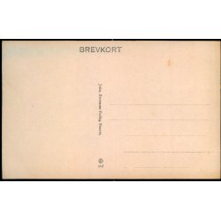 Kbenhavn - Ved Flledparkens Indgang - Johs. Brorsrns Forlag 102