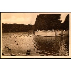 Kbenhavn - Parti fra Flledparken - Chr. Olsen 681