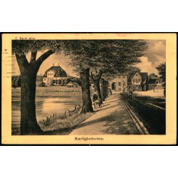 C. Bayer - Krlighedsstien - Alex Vincent No. 11