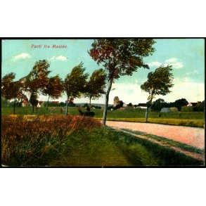 Parti fra Maal&oslash;v - C.F. 558