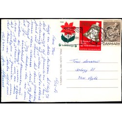 Karen K. - Familie Journal Julen 1980