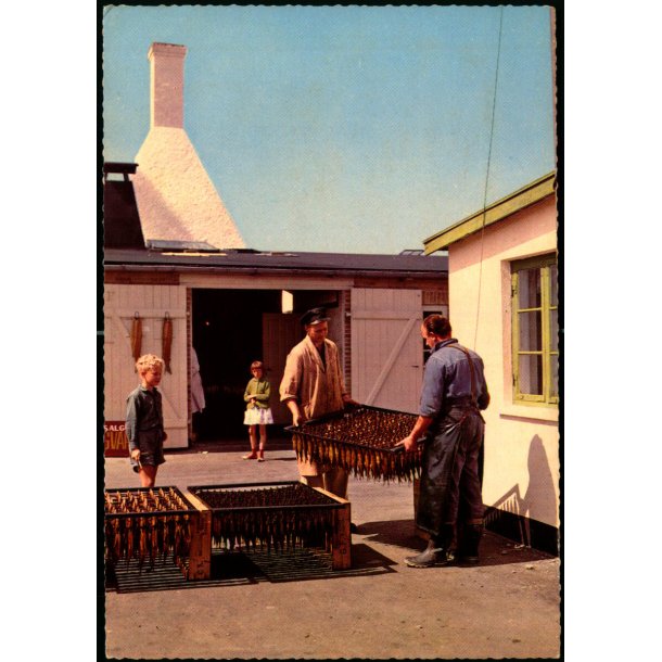 R&oslash;geriet Bornholm - Gilleleje - Stender 5609