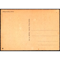 Gilbjergskr&aelig;nten - Gilleleje - Stender 5601