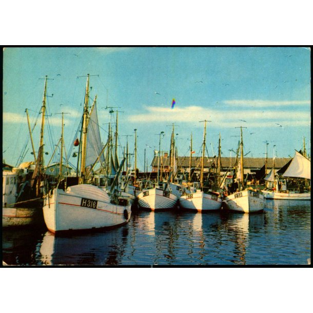 Gilleleje - Havnen - Rudolf Olsen 853