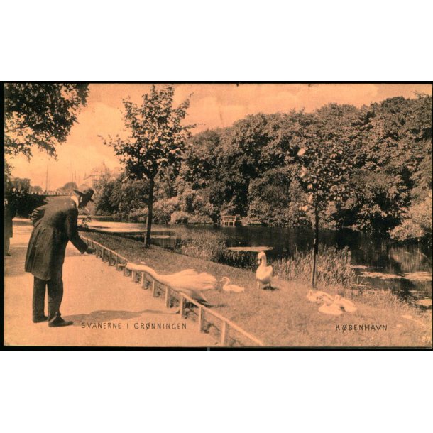 Svanerne i Grnningen - Kbenhavn - D.L.C. 872 A
