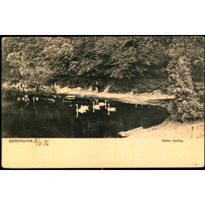 Kbenhavn - stre Anlg - Peter Alstrup 238