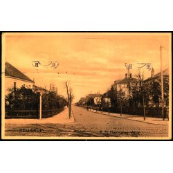 Hellerup - A.N. Hansens Alle - Aug. Olsens Bogh. 23275