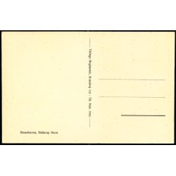 Rosenhaven - Hellerup - Tillings Bogh. u/n